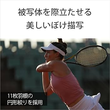 sony fe300gm f2.4単焦点レンズとケース　付属品全てあります sony fe300gm f2.4単焦点レンズとケース 付属品全てあります